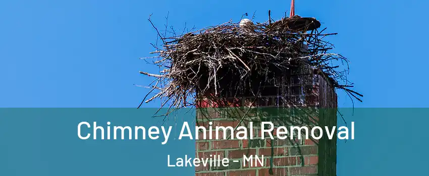 Chimney Animal Removal Lakeville - MN