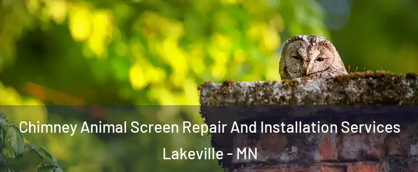  Chimney Animal Screen Repair And Installation Services Lakeville - MN