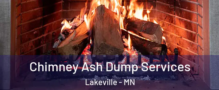  Chimney Ash Dump Services Lakeville - MN