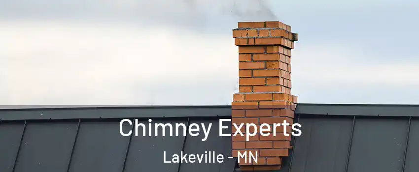 Chimney Experts Lakeville - MN