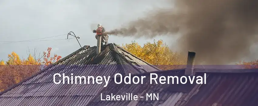  Chimney Odor Removal Lakeville - MN