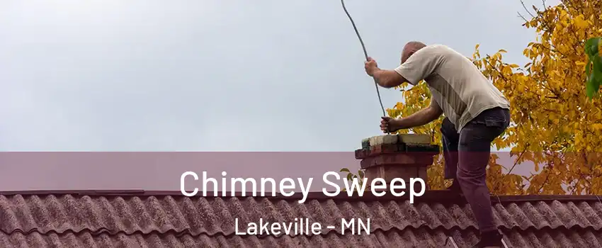  Chimney Sweep Lakeville - MN