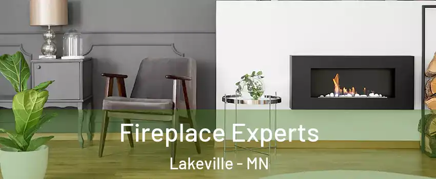  Fireplace Experts Lakeville - MN