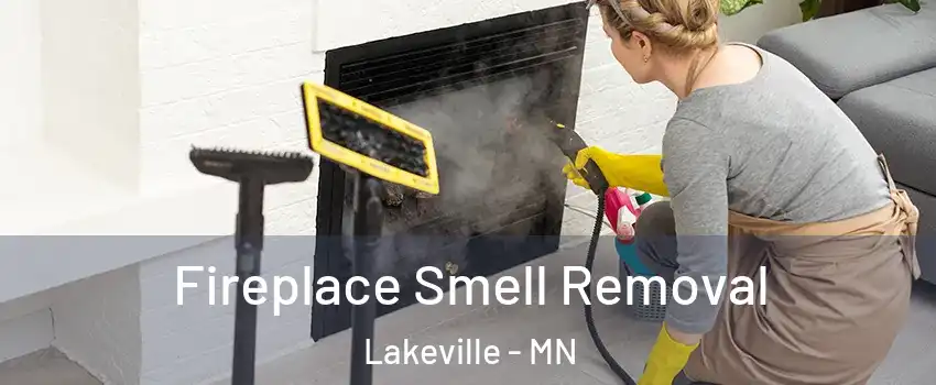  Fireplace Smell Removal Lakeville - MN