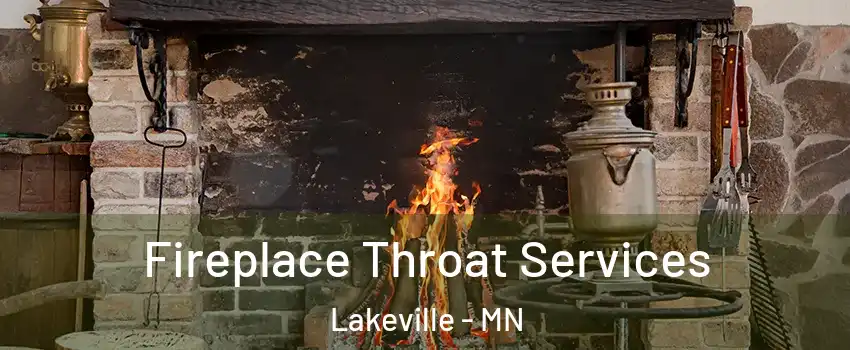  Fireplace Throat Services Lakeville - MN