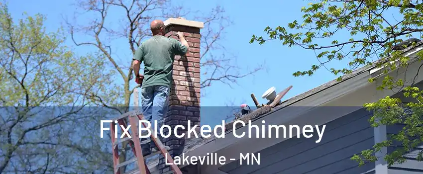  Fix Blocked Chimney Lakeville - MN