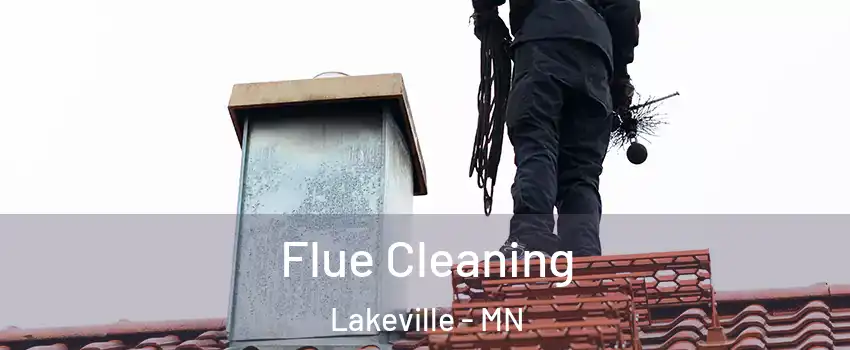 Flue Cleaning Lakeville - MN
