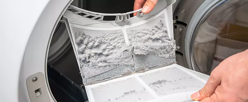 Best Dryer Lint Removal Company in Lakeville, Minnesota