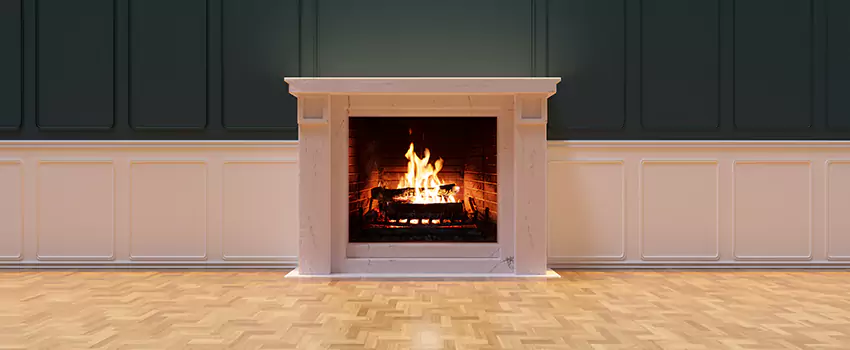 Napoleon Electric Fireplaces Inspection Service in Lakeville, Minnesota