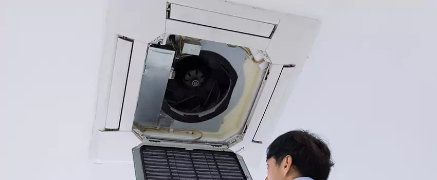 Benefits of Professional Air Duct Cleaning in Lakeville, Minnesota