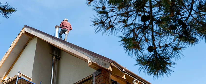 Birds Removal Contractors from Chimney in Lakeville, MN