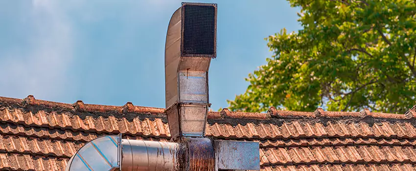 Chimney Blockage Removal in Lakeville, Minnesota