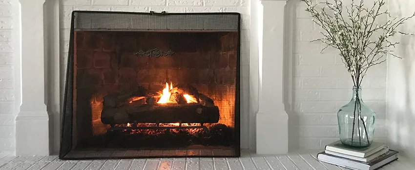 Cost-Effective Fireplace Mantel Inspection And Maintenance in Lakeville, MN