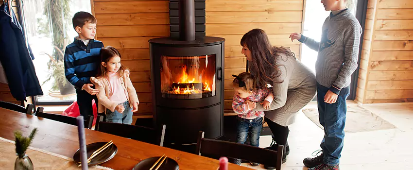 Jøtul Gas Fireplace Inspection Service in Lakeville, Minnesota