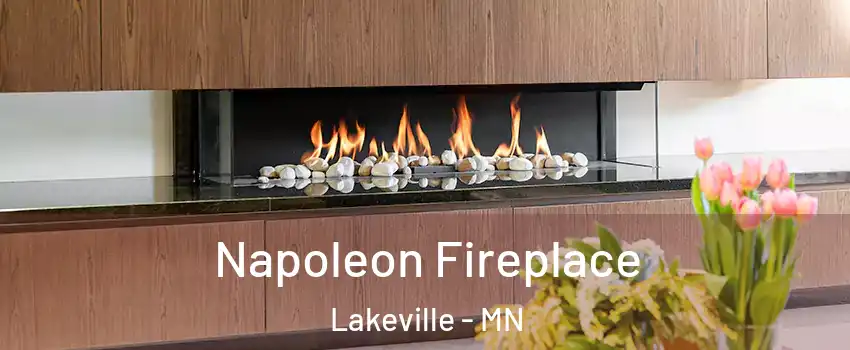  Napoleon Fireplace Lakeville - MN